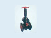 Z41TUly