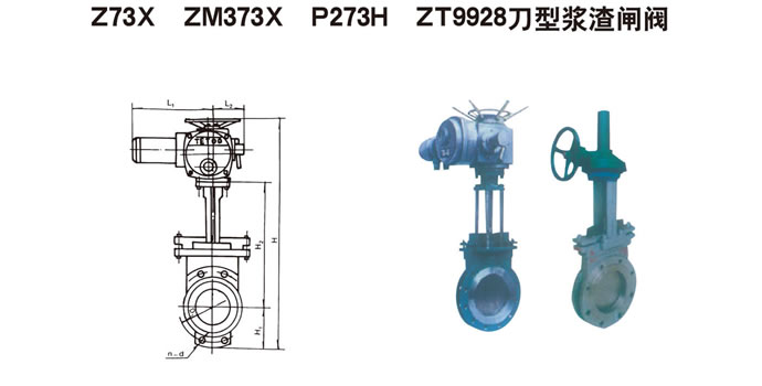 Z73XZM373XP273HZT9928͝{ly